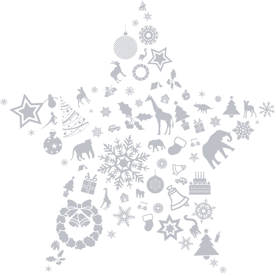 Howletts & Port Lympne Christmas Star